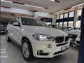 BMW X5 X5 F15 xdrive25d Luxury 231cv auto Bianco - thumbnail 3