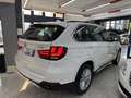 BMW X5 X5 F15 xdrive25d Luxury 231cv auto Bianco - thumbnail 4