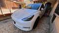 Tesla Model Y Long Range Dual Motor awd Bianco - thumbnail 1