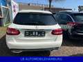 Mercedes-Benz C 220 C -Klasse T-Modell C 220 d T Weiß - thumbnail 18