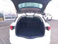 Renault Megane Megane IV 1.3 TCe 140 Grandtour Techno (EURO 6d) Bianco - thumbnail 6