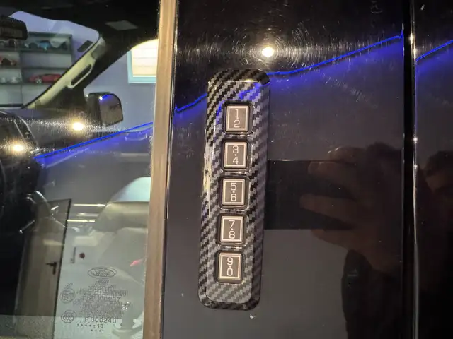 Ford F 150 RAPTOR Ansicht 13