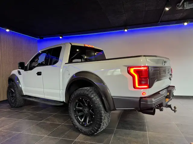 Ford F 150 RAPTOR Ansicht 9