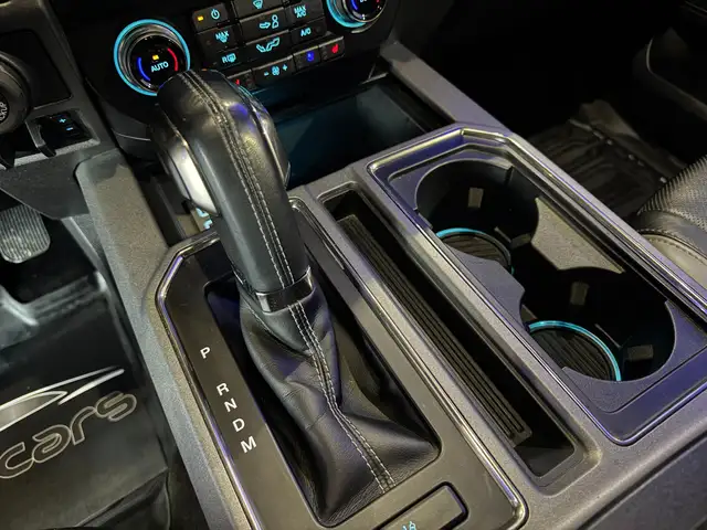 Ford F 150 RAPTOR Ansicht 23