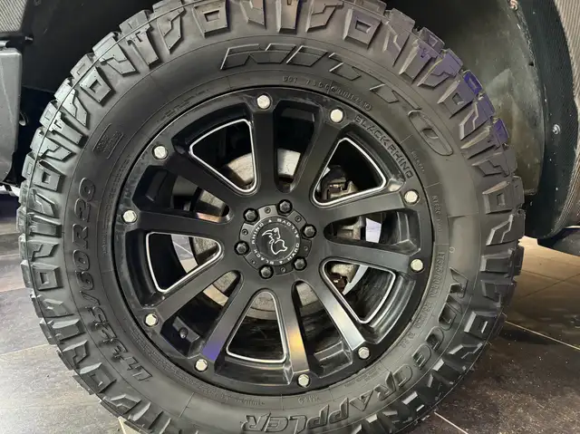 Ford F 150 RAPTOR Ansicht 28