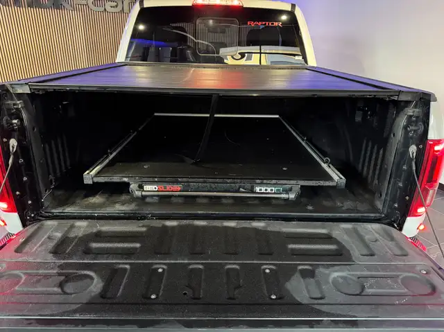 Ford F 150 RAPTOR Ansicht 16