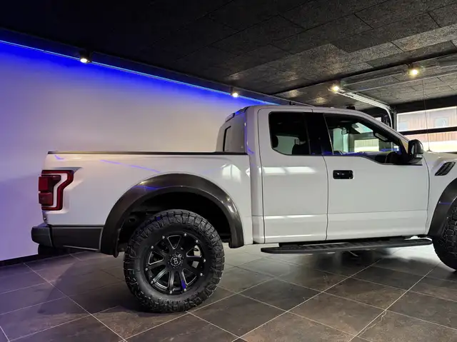 Ford F 150 RAPTOR Ansicht 15