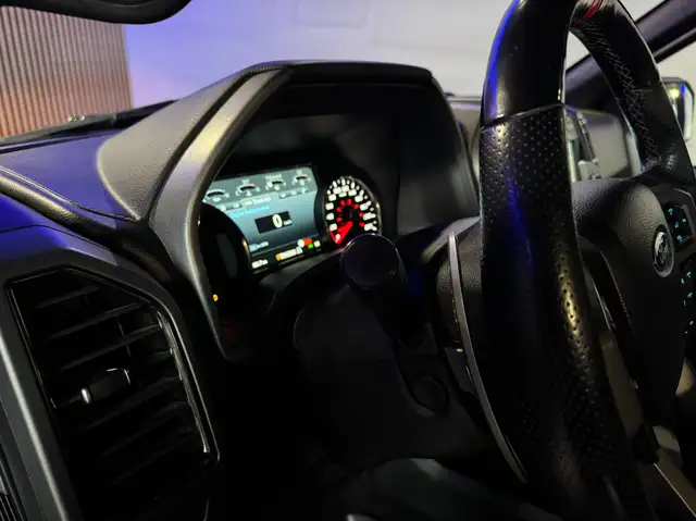 Ford F 150 RAPTOR Ansicht 22