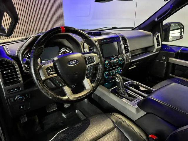 Ford F 150 RAPTOR Ansicht 17