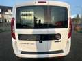 Fiat Doblo Doblò SX Maxi Kombi (5 Sitzer+Regale) Weiß - thumbnail 6