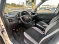 Fiat Doblo Doblò SX Maxi Kombi (5 Sitzer+Regale) Weiß - thumbnail 12