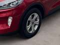 Ford Kuga Plug-In Hybrid Cool & Connect +1.HAND+WINTERPAKET+ Rot - thumbnail 6