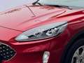 Ford Kuga Plug-In Hybrid Cool & Connect +1.HAND+WINTERPAKET+ Rot - thumbnail 5
