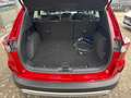 Ford Kuga Plug-In Hybrid Cool & Connect +1.HAND+WINTERPAKET+ Rot - thumbnail 12