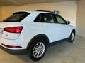 Audi Q3 Q3 2.0 TDI 150 CV quattro S tronic Business Bianco - thumbnail 6