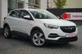Opel Grandland 1.6 CDTI Edition LED IntelliLink AHK Weiß - thumbnail 4