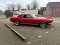 Ford Mustang USA Coupe Rojo - thumbnail 4