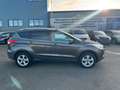 Ford Kuga Sync Edition Ford Scheckheftgepflegt Grau - thumbnail 3