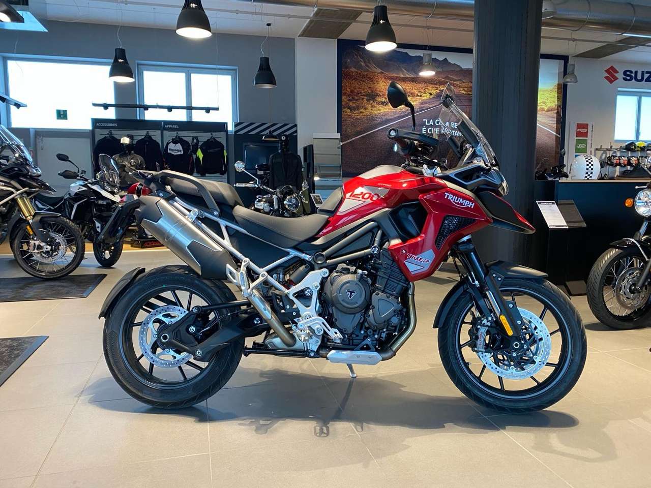 Triumph Tiger 1200 GT Pro MY24