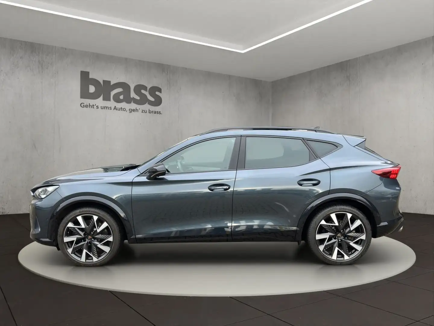 CUPRA Formentor VZ 2.0 TSI 7-Gang DSG 4Drive Grau - 2