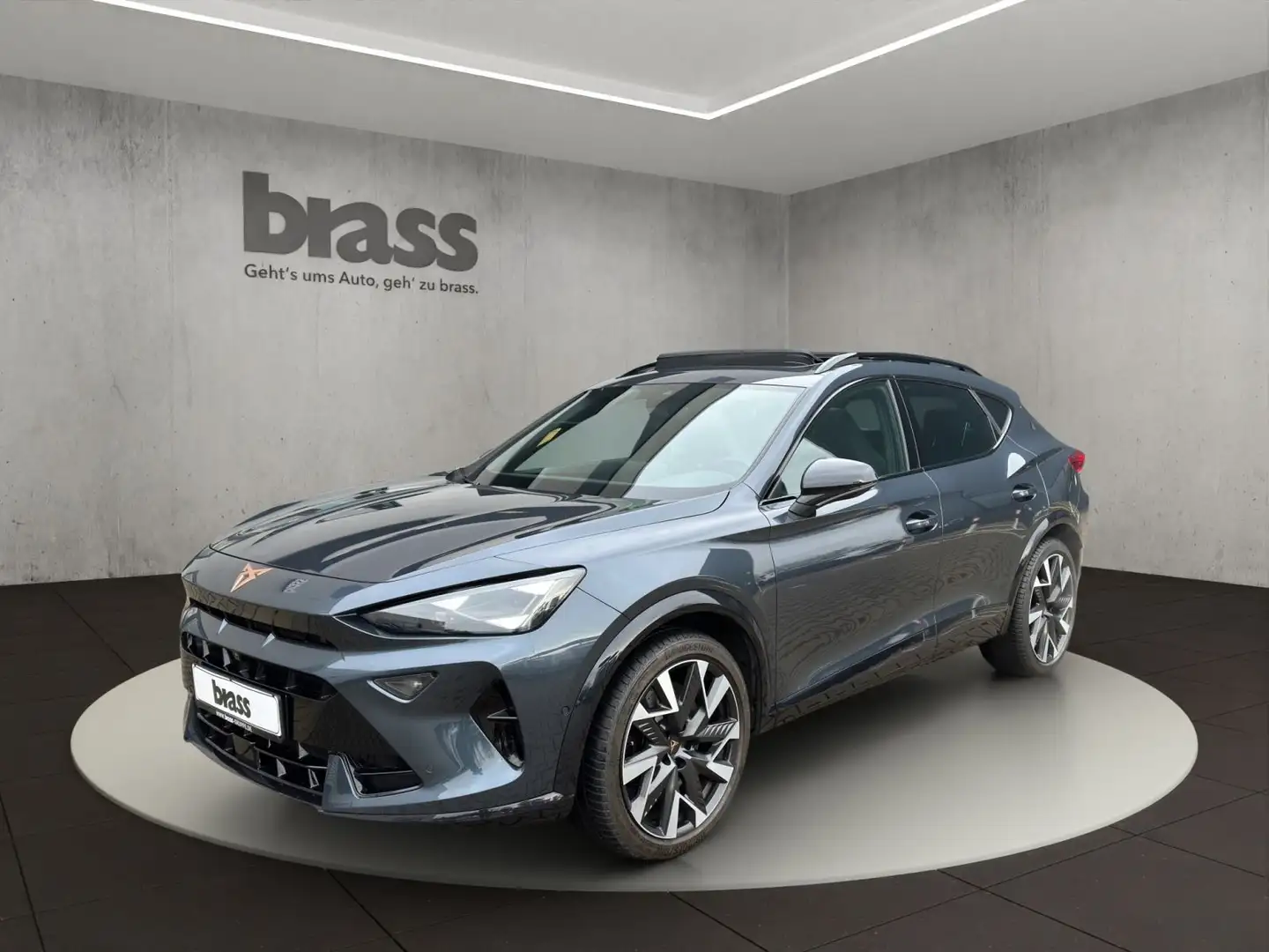 CUPRA Formentor VZ 2.0 TSI 7-Gang DSG 4Drive Grau - 1