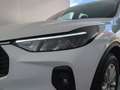 Ford Kuga 1.5 EcoBoost Titanium FWD 150 Blanco - thumbnail 24