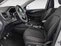 Ford Kuga 1.5 EcoBoost Titanium FWD 150 Blanco - thumbnail 10