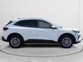 Ford Kuga 1.5 EcoBoost Titanium FWD 150 Blanco - thumbnail 2