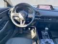 Mazda CX-30 X186/AWD/Homura inkl. RUNDUMVERBAU Blau - thumbnail 15