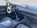 Mazda CX-30 X186/AWD/Homura inkl. RUNDUMVERBAU Blau - thumbnail 21