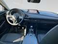 Mazda CX-30 X186/AWD/Homura inkl. RUNDUMVERBAU Blau - thumbnail 19