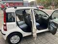Fiat Panda 1.2 Edizione Cool Wit - thumbnail 9