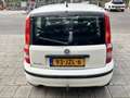 Fiat Panda 1.2 Edizione Cool Wit - thumbnail 6