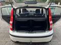 Fiat Panda 1.2 Edizione Cool Wit - thumbnail 8