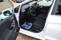 Ford Fiesta Titanium Automatik LED ACC Wit - thumbnail 10