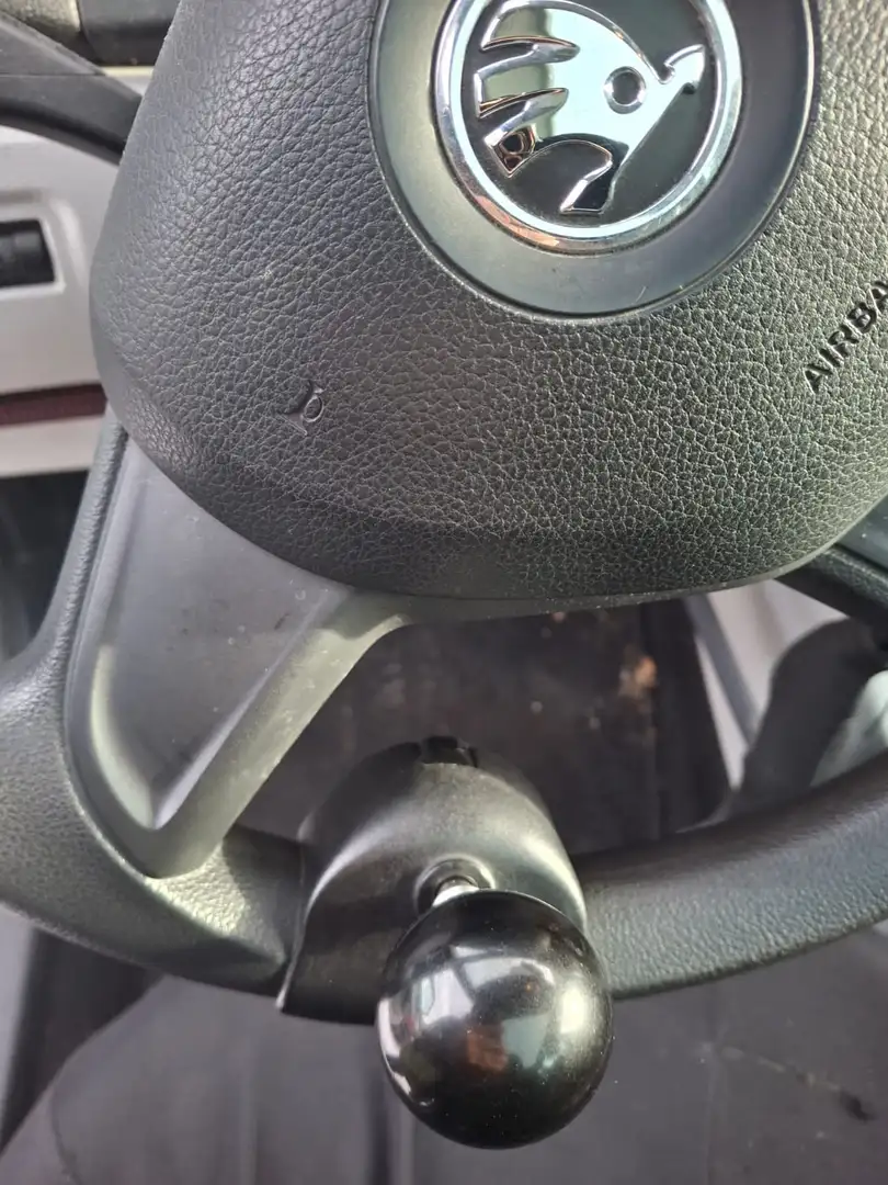 Skoda Roomster Roomster Active  1,2 TSI DSG Active Braun - 2