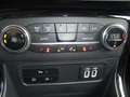 Ford EcoSport Titanium, AHK, Kamera, Winter-Paket, Navi, CD, Blu/Azzurro - thumbnail 12