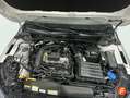 Volkswagen Polo 1.0 TSI Match 70kW Blanco - thumbnail 31