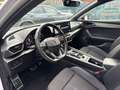 CUPRA Leon Sportstourer VZ 4Drive Klima Navi Rückfahrkamera Blanc - thumbnail 10