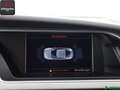 Audi S5 S5 Coupe 3.0 V6 TFSI qu PANO,STANDHEIZ,KEYLESS Piros - thumbnail 15