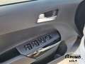 Kia Picanto PE 1.0 MT VISION NAVI KAMERA DAB Weiß - thumbnail 7