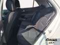 Kia Picanto PE 1.0 MT VISION NAVI KAMERA DAB Weiß - thumbnail 8