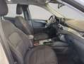 Ford Kuga 2.5 Duratec PHEV TITANIUM Weiß - thumbnail 15
