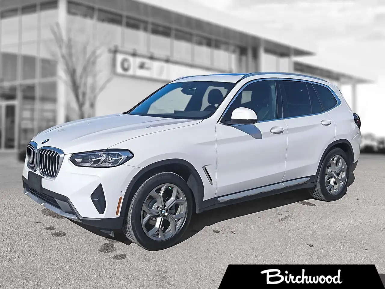2023 BMW X3