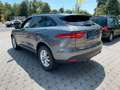 Jaguar F-Pace F-PACE D300 Portfolio AWD Black Pack ACC Gris - thumbnail 7