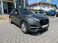 Jaguar F-Pace F-PACE D300 Portfolio AWD Black Pack ACC Gris - thumbnail 5