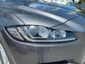 Jaguar F-Pace F-PACE D300 Portfolio AWD Black Pack ACC Gris - thumbnail 14