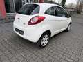 Ford Ka/Ka+ Trend Klima Fenster el. Weiß - thumbnail 5