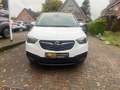 Opel Crossland X Crossland AT6 +R-Kamera+AHK+GJR+HU neu Blanc - thumbnail 2