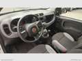 Fiat Panda 1.0 GSE Hybrid Street Van 4 p.ti Bianco - thumbnail 10